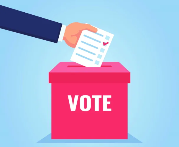 Millages on the ballot